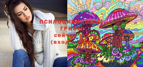 эйфоретик Алзамай