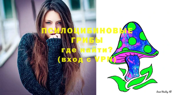 эйфоретик Алзамай