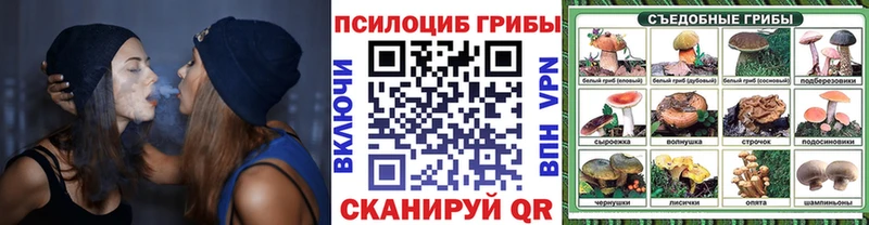 Псилоцибиновые грибы Magic Shrooms  продажа наркотиков  Кремёнки 