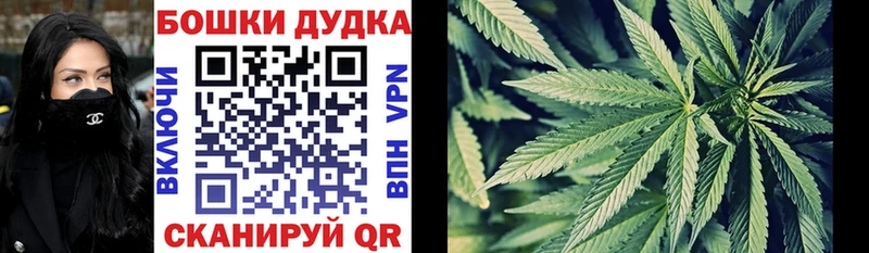 hydra как войти  Кремёнки  Марихуана сатива 